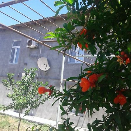 Guest House Near Baku Airport 外观 照片