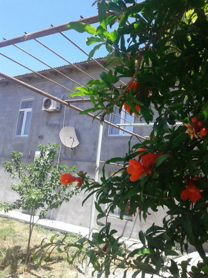 Guest House Near Baku Airport 外观 照片